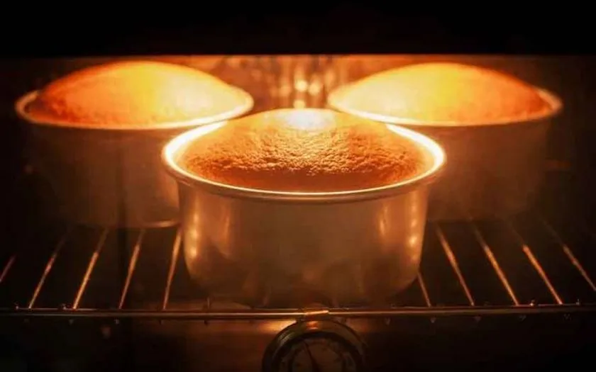 Bánh bông lan tiêu chuẩn sẽ có độ đàn hồi tốt và ruột bánh không quá đặc, nhiều bọt khí