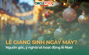 Lễ Giáng sinh ngày mấy? Nguồn gốc, ý nghĩa và hoạt động lễ Noel
