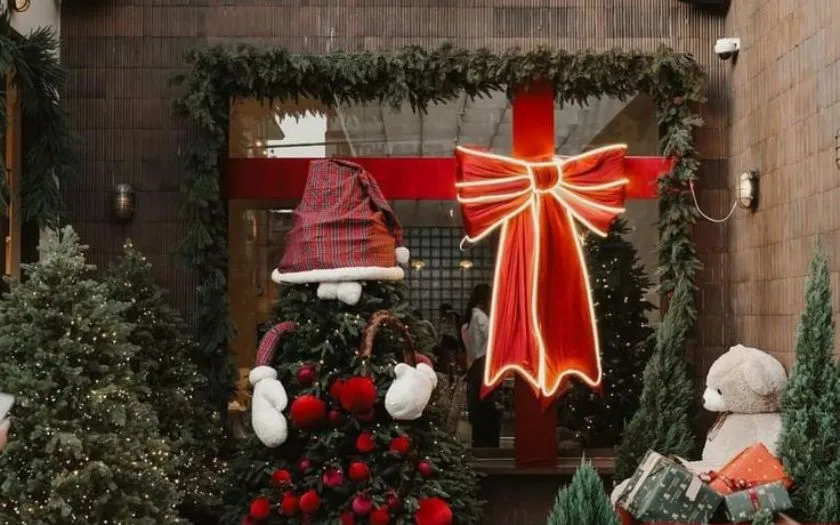 Lá thông bản to đem lại sự hoà hợp với thiên nhiên