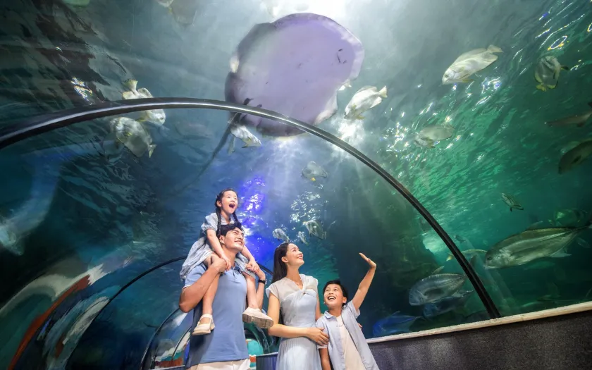 Thuỷ cung VinKE - trải nghiệm “chơi mà học” cho cả nhà