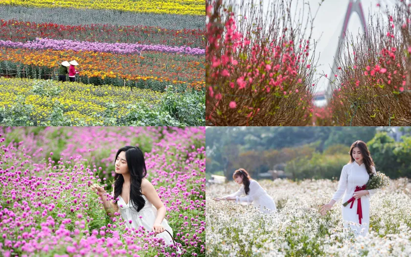 Nhà bên rừng U Lesa mang đến không gian tách biệt giữa rừng thông 