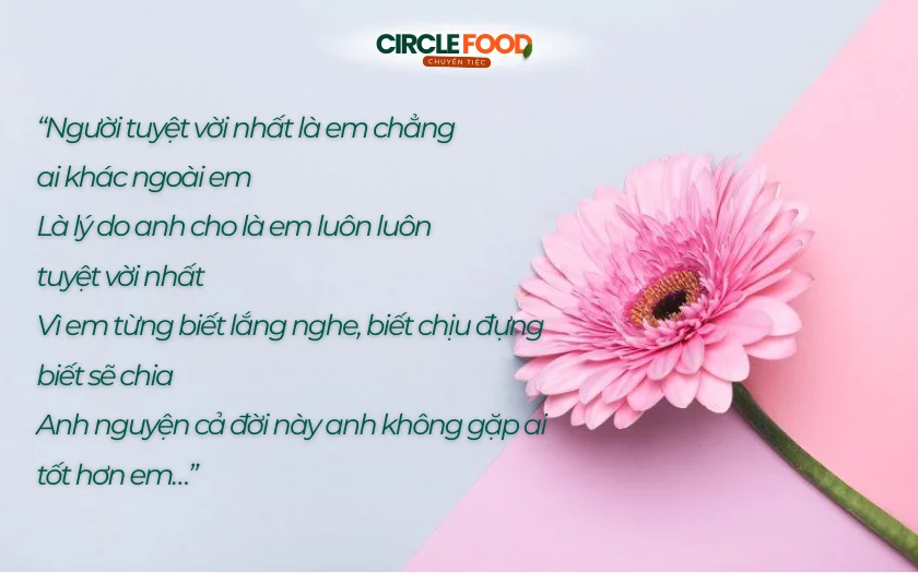 Ca khúc ngọt ngào, chân thành, ca ngợi tình yêu và sự trân trọng dành cho người vợ