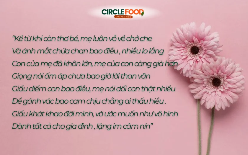Ca khúc nhẹ nhàng, sâu lắng, kể về những hy sinh thầm lặng của mẹ và những điều con chưa từng thấu hiểu
