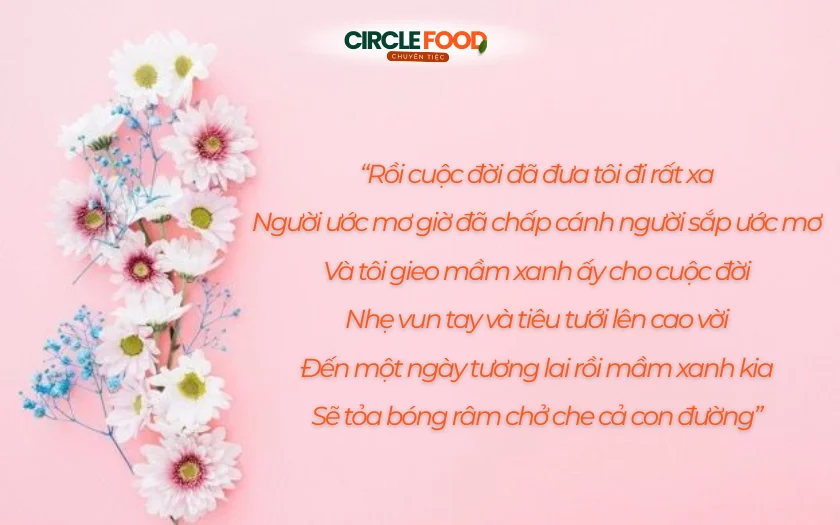 Ca khúc sâu lắng, giàu cảm xúc, tôn vinh những người thầy cô lặng thầm gieo tri thức và nuôi dưỡng ước mơ cho thế hệ trẻ