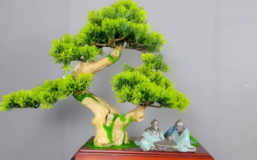 Bonsai mini thường được tạo hình sẵn, nhỏ gọn và có điểm nhấn rõ ràng