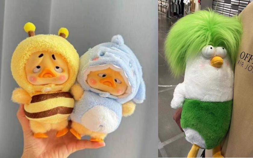 Gấu bông vô tri là xu hướng quà tặng cực kỳ hot của giới trẻ