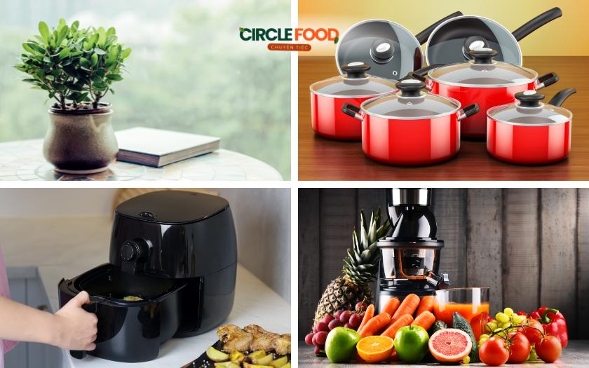 Cây để bàn và đồ gia dụng làm quà 8/3 cho đồng nghiệp nữ